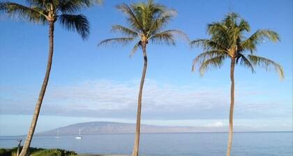 Maui is calling you back! Enjoy our Ocean View Cottage- 200+ Rave Reviews Await!