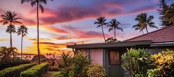 Maui is calling you back! Enjoy our Ocean View Cottage- 200+ Rave Reviews Await!