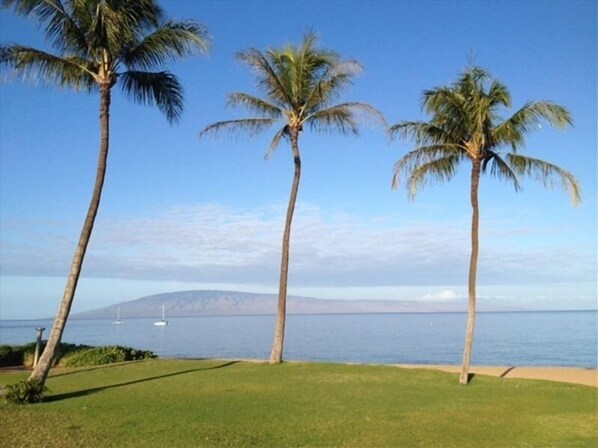 Enjoy serene beachfront views and tranquil surroundings.