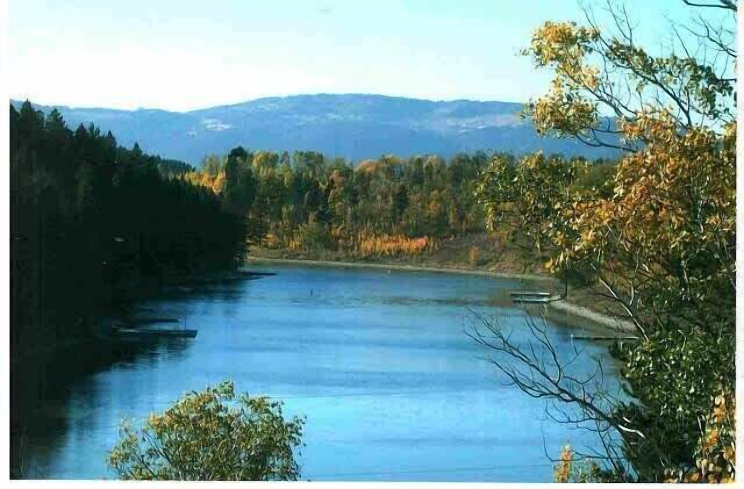 A river with a forested landscape and mountains in the background.