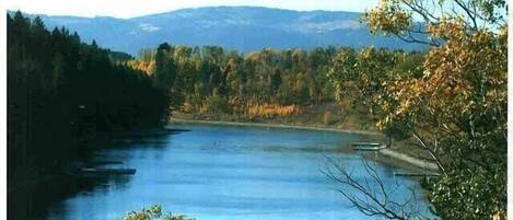 Un río con un paisaje boscoso y montañas al fondo.