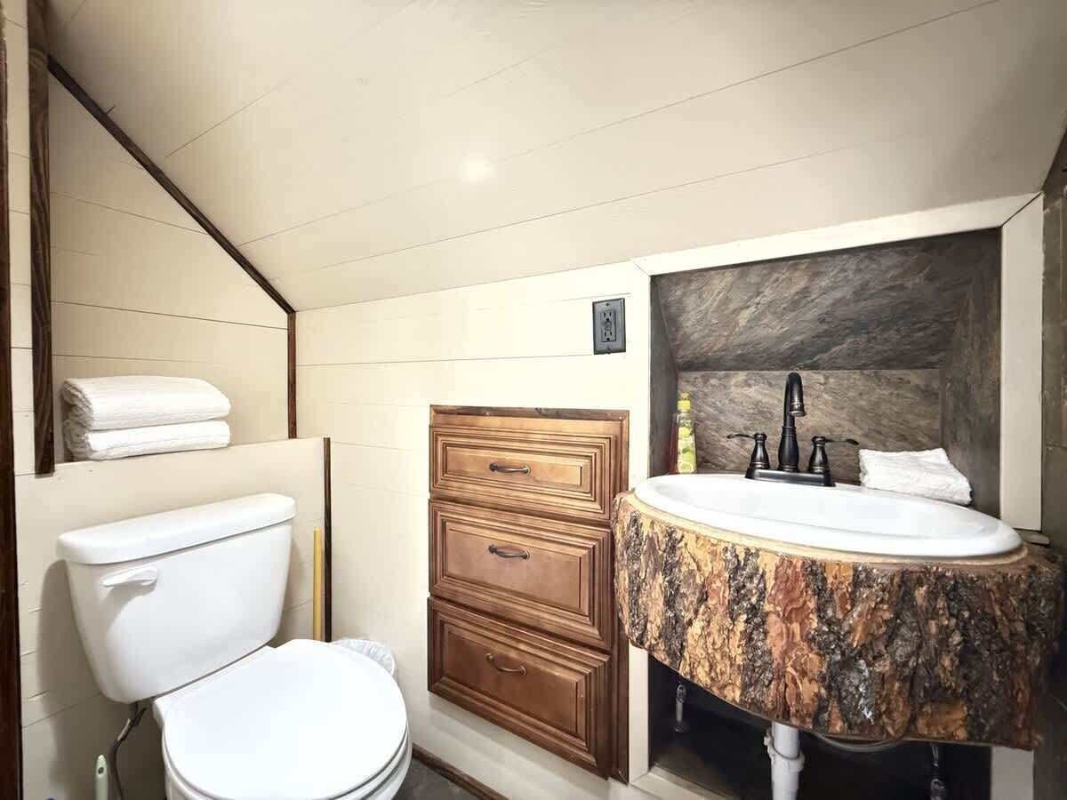 A bathroom with a toilet, a wooden vanity with a sink, and a mirror.