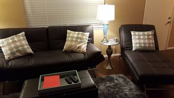 Smart TV, fireplace, video library