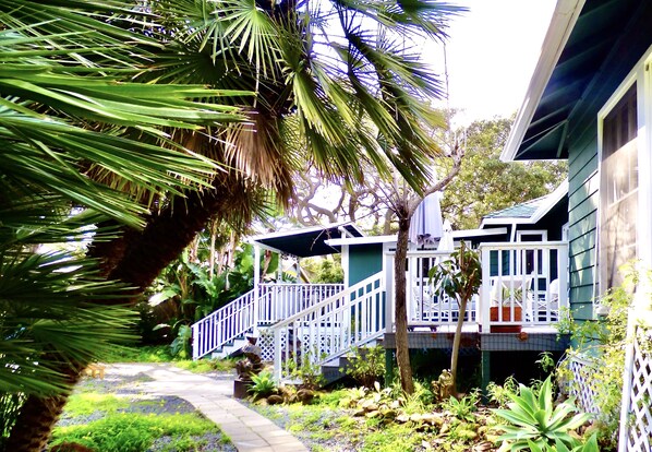 Terrain de l’hébergement 