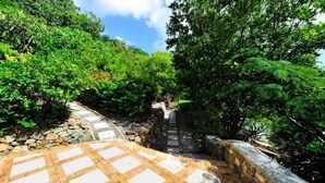 A paved pathway leading through a lush garden area with stone walls and dense foliage.