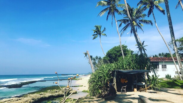 A beach scene with a small hut and palm trees. - Villa Coconut - Hostel (Weligama)