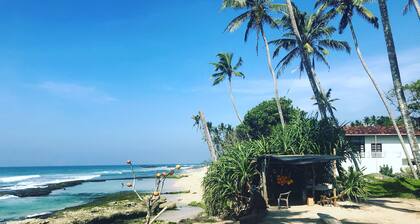Villa Coconut - Hostel