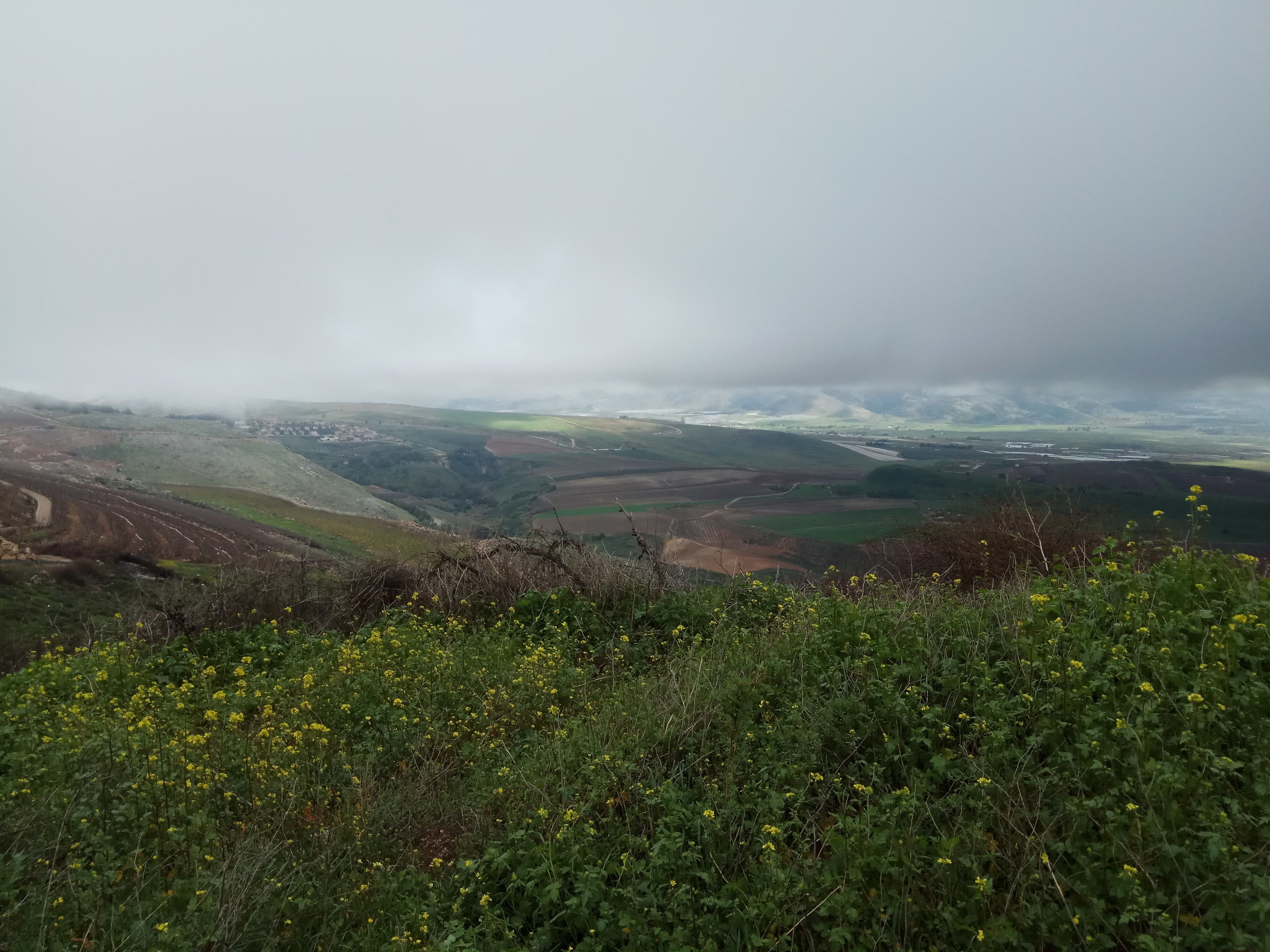 A panoramic view of a hilly landscape with fields and a road.