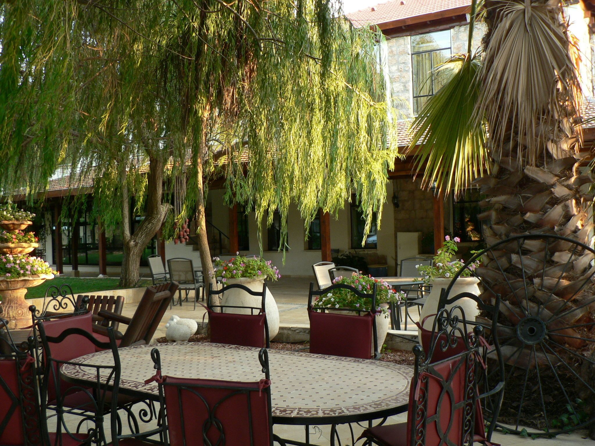 Un patio al aire libre con mesas y sillas redondas, rodeado de plantas en macetas y un sauce llorón.