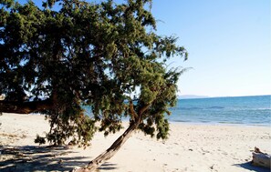Beach - 2 bedroom cozy apartment in Scansano GR (Scansano GR)