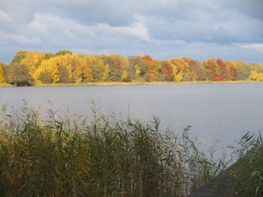 A calm lake with autumn foliage in the background.