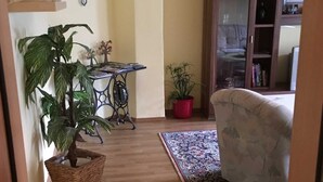 A cozy living room with a wooden floor, a patterned rug, a sofa, a small table with papers, and two potted plants.