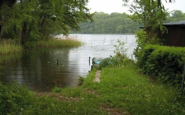 Unclassified image, 1 of 12, button