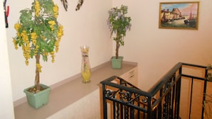 Un escalier avec une rampe, un tableau accroché au mur et deux plantes en pot ornées de fleurs jaunes et violettes.