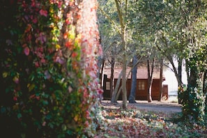 Property grounds - Kibbutz Ortal Tourism (Oretal)