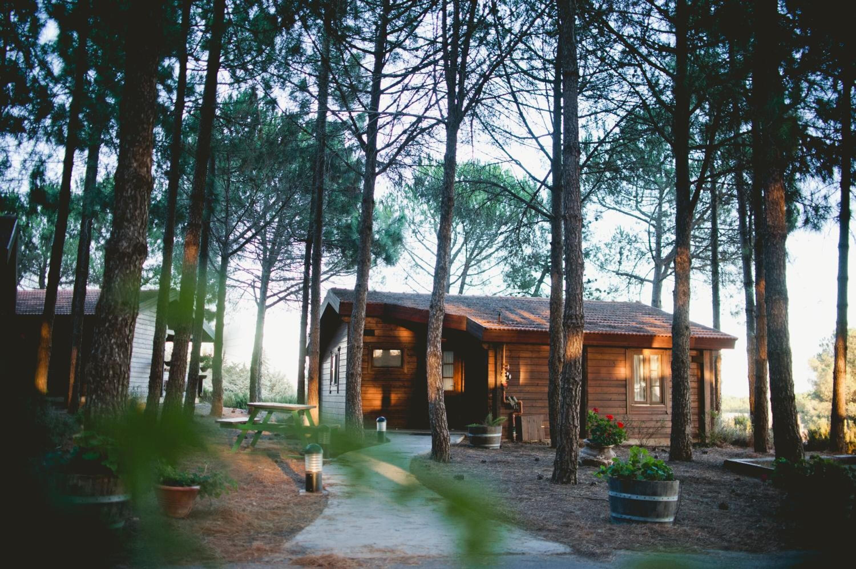 chalet | minibar, desk, free wifi, bed sheets