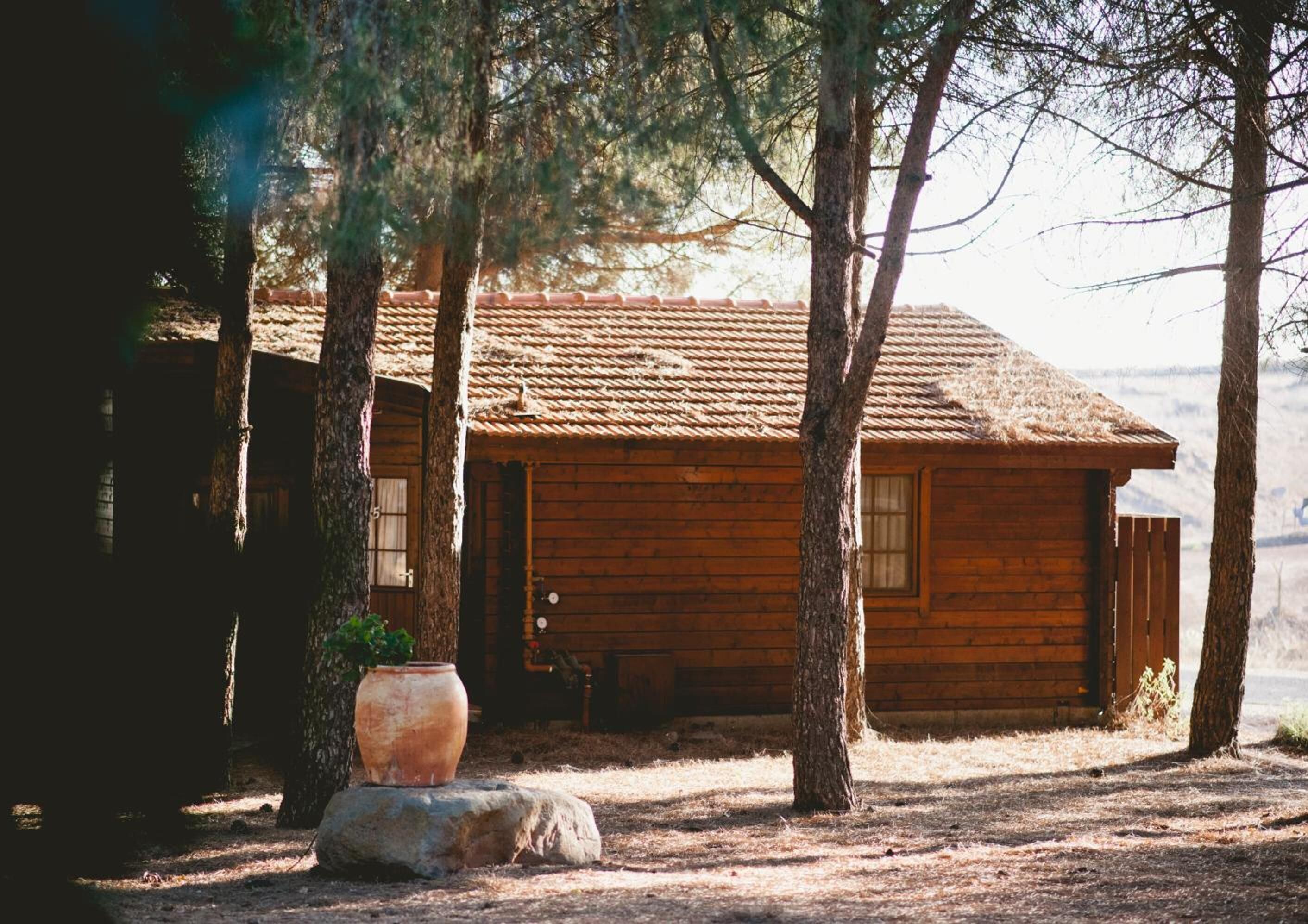 A rustic cabin with a thatched roof, surrounded by trees, and a large pot on a rock in the foreground.