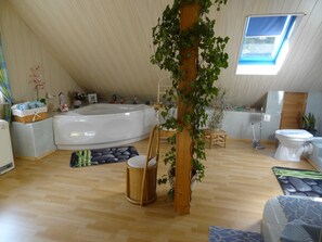 シャワー、ヘアドライヤー、タオル