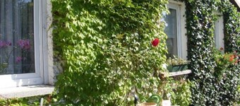 Vacation apartment Mirow (22205) - Holiday apartment