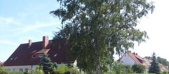 Leilighet Mirow (22205) - Leilighet