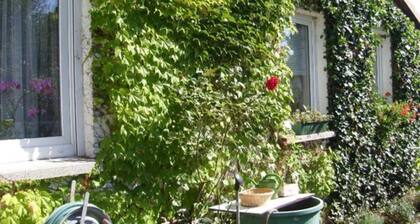 Vacation apartment Mirow (22205) - Holiday apartment