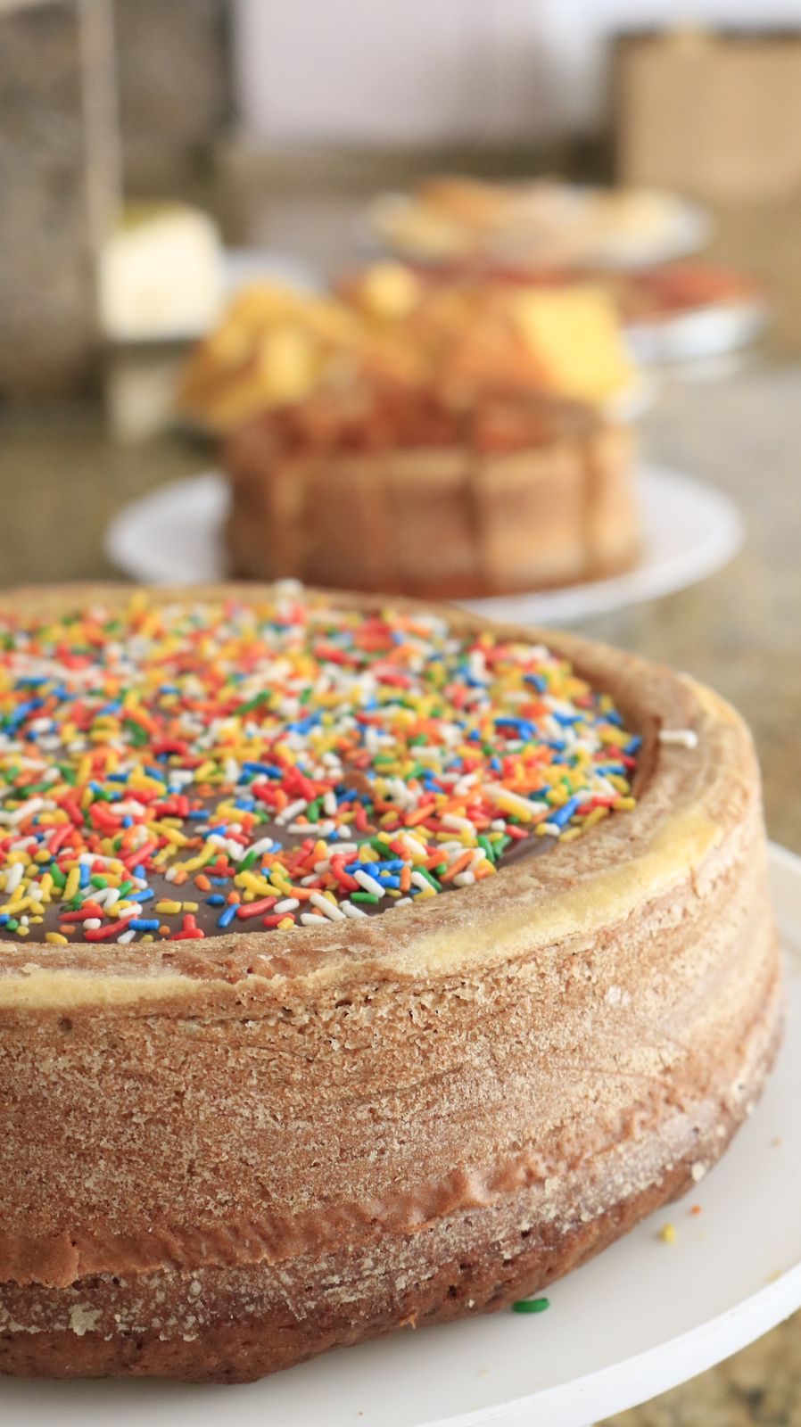 Un pastel con confeti de colores sobre un plato blanco.