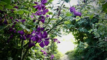 Jardín