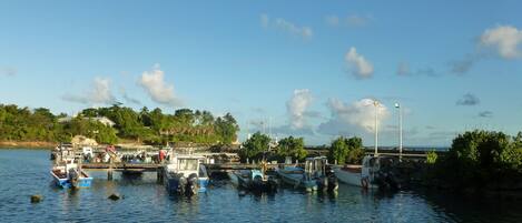 A marina with several boats docked, a clear sky, and a distant shoreline with greenery and buildings.