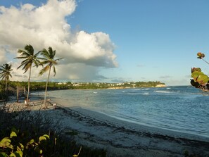 Beach nearby - LUXURY DUPLEX - 2CH - SEA VIEW, BEACH 2 STEPS FROM THE BEACH (Le Gosier)