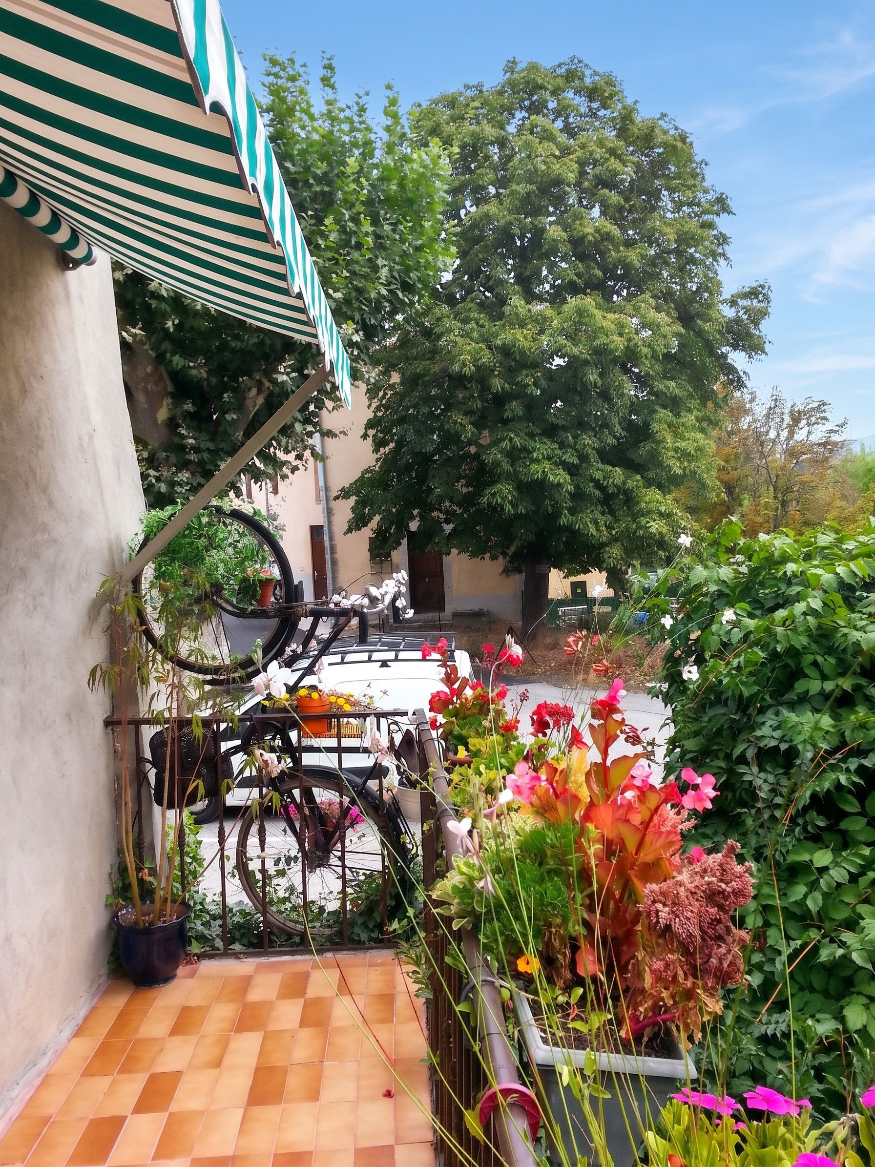 A courtyard with a tiled floor, a bicycle, and various potted plants and flowers.