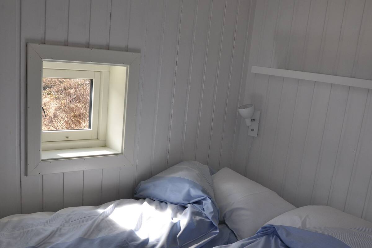 A single bed with white and blue bedding, a window with a view, and a white wall.