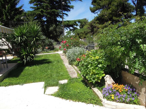 Property grounds - Apartmani Simicev (Zadar)