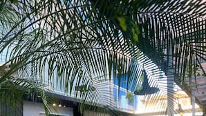Espaço ao ar livre com mobiliário moderno, uma palmeira e plantas em vasos.