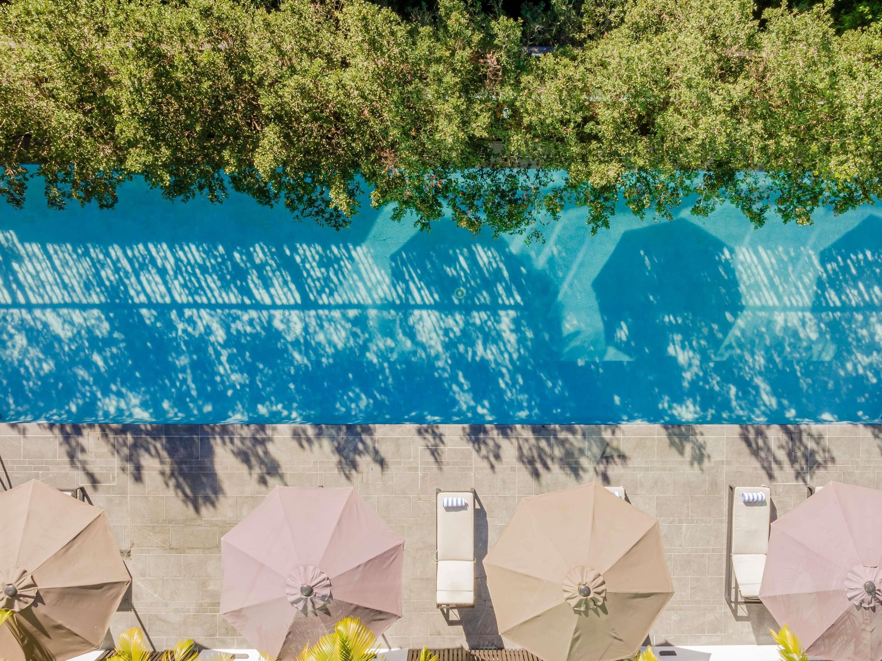 Outdoor pool, pool loungers