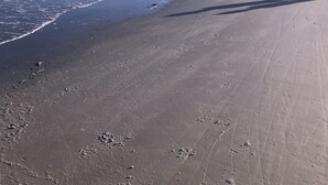 Une vaste plage de sable fin, avec des vagues douces et un ciel bleu clair.