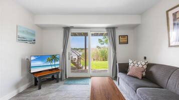 Smart TV, fireplace, DVD player, books