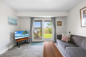 Smart TV, fireplace, DVD player, books