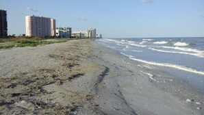 Une plage avec un rivage sablonneux et des vagues, avec des bâtiments en arrière-plan.