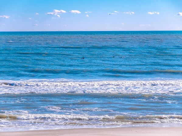 Beach nearby - Pelican Nest | Community Beach + Sound Access! (North Topsail Beach)