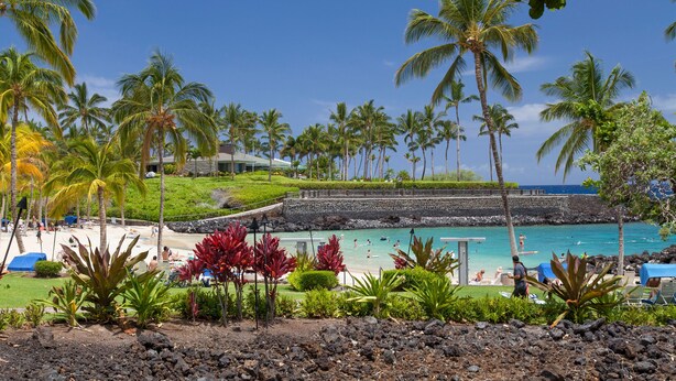 A tropical beach resort with palm trees, a rocky shoreline, and a pool area. - Mauna Lani: Enjoy golf; snorkeling, helicopter tours Flexible cancellation terms (Kamuela)