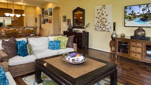 TV, DVD player, books, video library