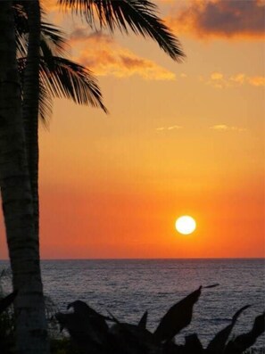 Beach nearby, sun loungers, beach towels