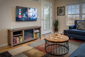 Smart TV, fireplace, books, music library