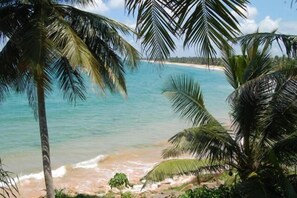 บนชายหาด, ดำน้ำ