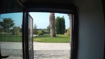 Vista desde la habitación