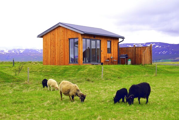 A wooden cabin with large windows and a dining area, surrounded by a grassy field and mountains.