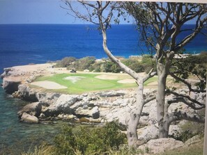 A coastal landscape with a golf course, rocky terrain, and a tree in the foreground.