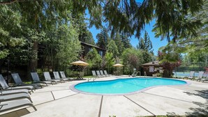 Une piscine entourée d’arbres, avec des chaises longues et des parasols.