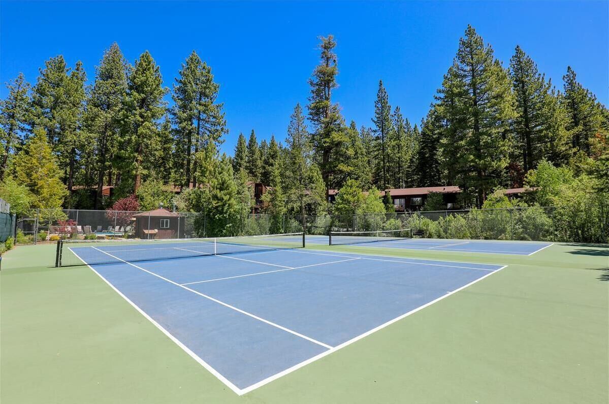 An outdoor tennis court surrounded by tall trees and a small building.