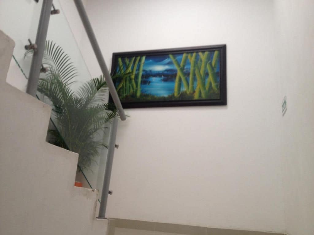 A staircase with a handrail and a potted plant on the left.